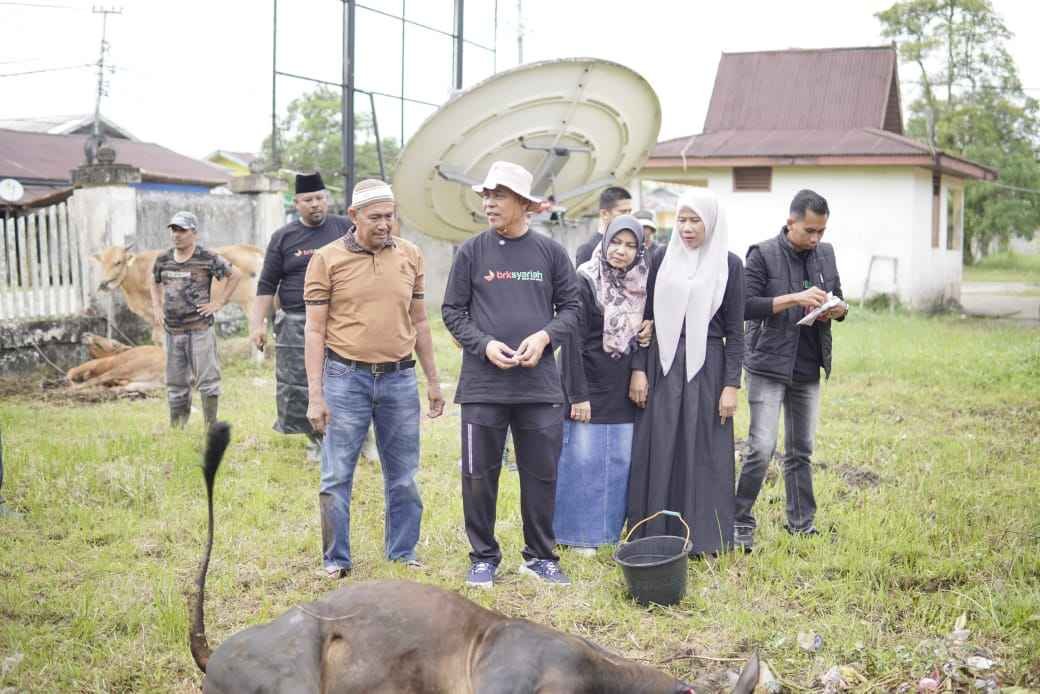 Bupati H. Herman Pimpin Langsung Penyembelihan Kurban Iduladha 1446 H di Lingkungan Kantor Bupati Inhil