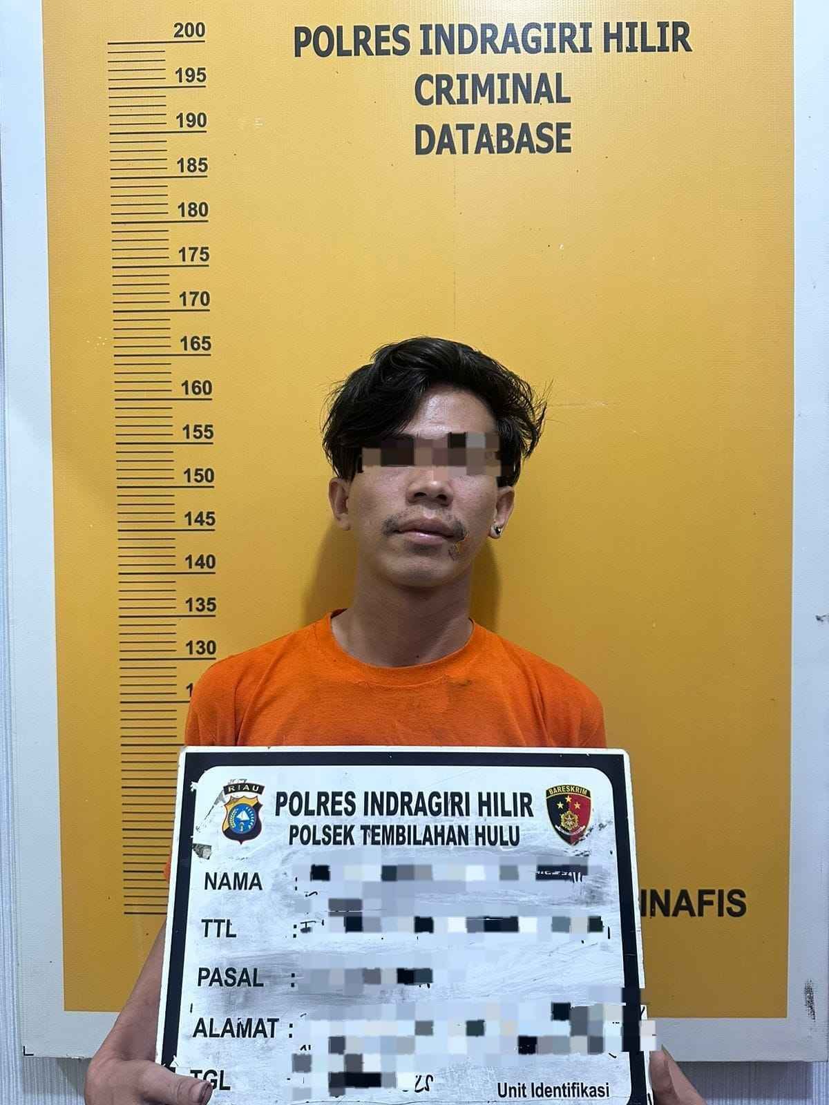 Dunia sudah mau kiamat, Tikam Kakak Ipar,  Tembilahan Ditangkap Polisi