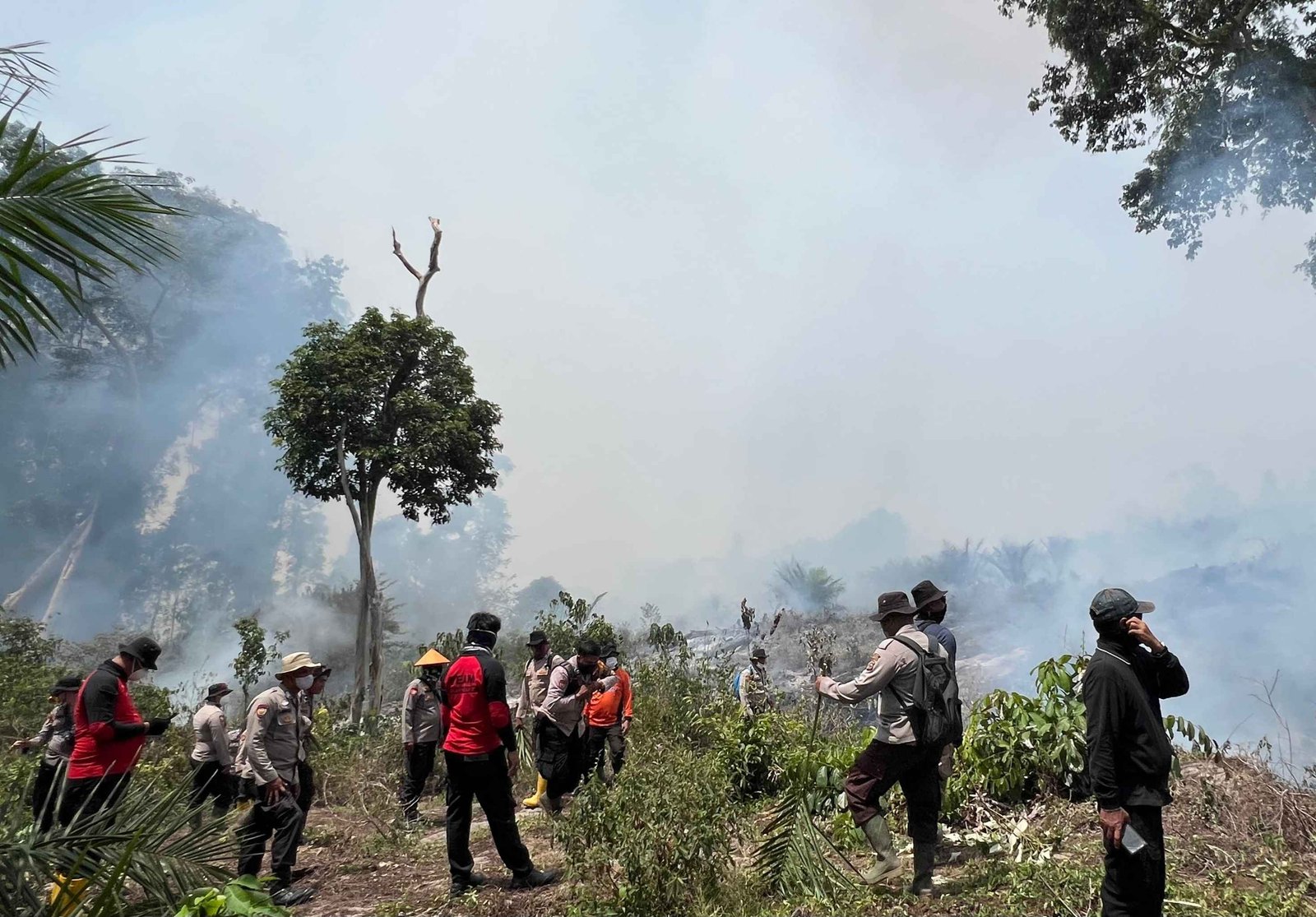 Kapolres AKBP Emil, melibatkan Seluruh Perwira Polres Rohul Ikut Padamkan Api di Lokasi Karhutla, Kecamatan Rokan IV Koto dan Kecamatan Rambah