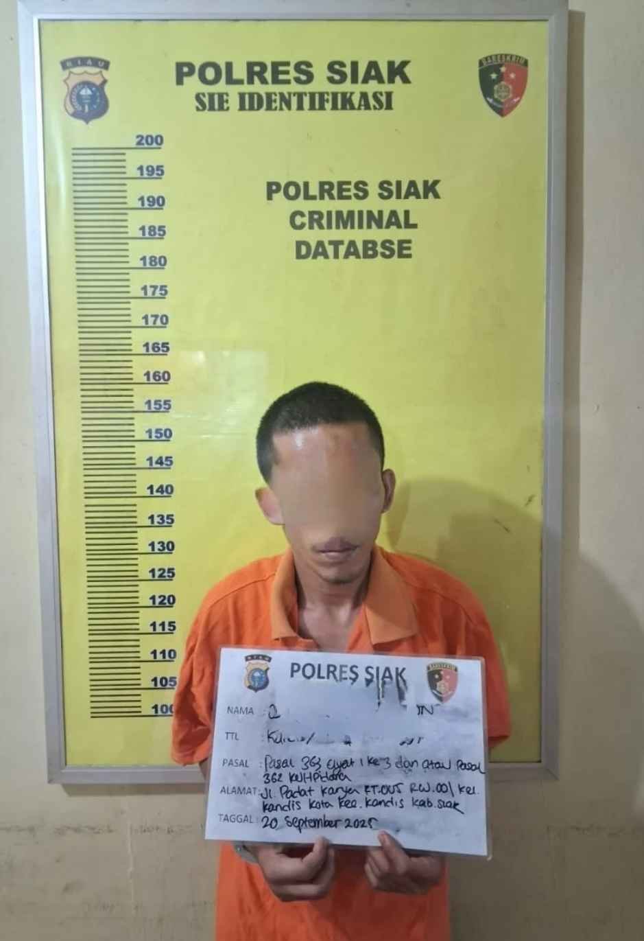 Polsek Kandis berhasil  tangkap pelaku Pencurian. Kerugian korban mencapai Rp100 Juta Lebih.