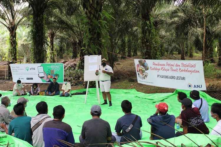 Perkuat Eksistensi Kelapa Sawit Berkelanjutan, ANJ Dorong Petani melalui Pelatihan untuk Tingkatkan Ketertelusuran